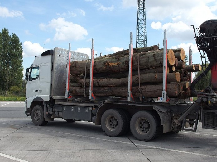 Der LKW hatte nach Polizeiangaben zuviel Holz geladen.